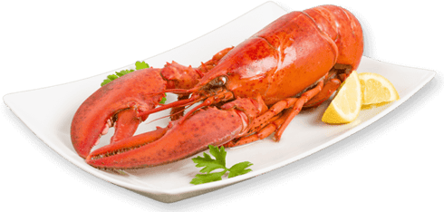 cooked-lobster
