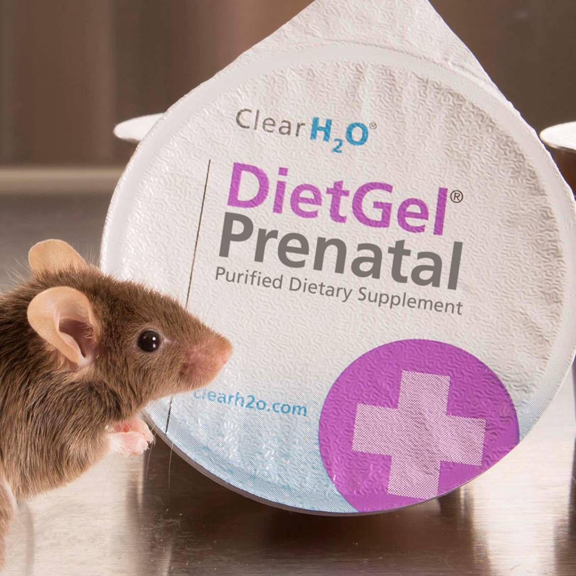 DietgelPrenatalMouse