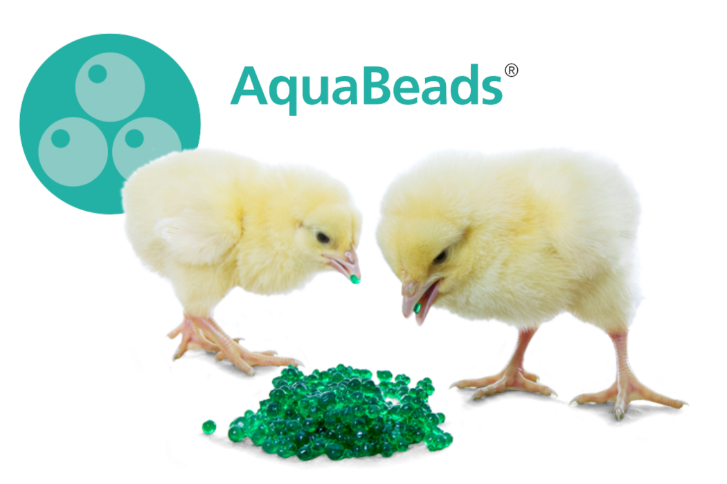 aquabeads cover (2)